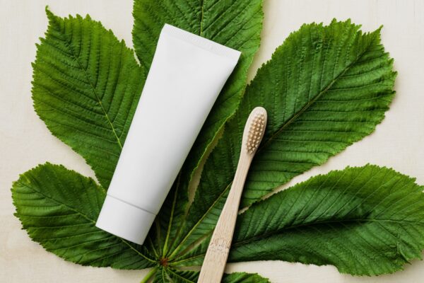 E-commerce trends 2021 - large green leaf with wooden toothbrush and white cream container
