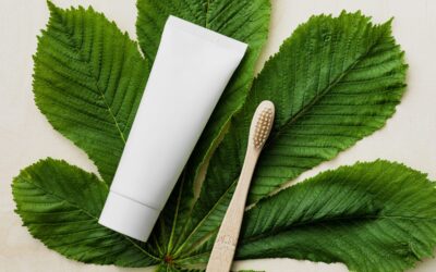 E-commerce trends 2021 - large green leaf with wooden toothbrush and white cream container